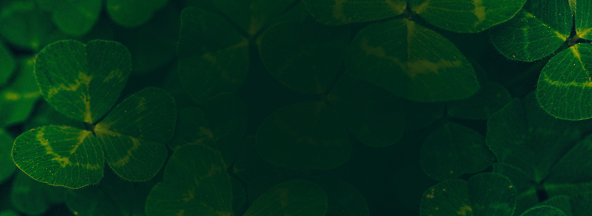 250310_araShoes_StPatricksDay_Buehne_Desktop_1920x700px_01