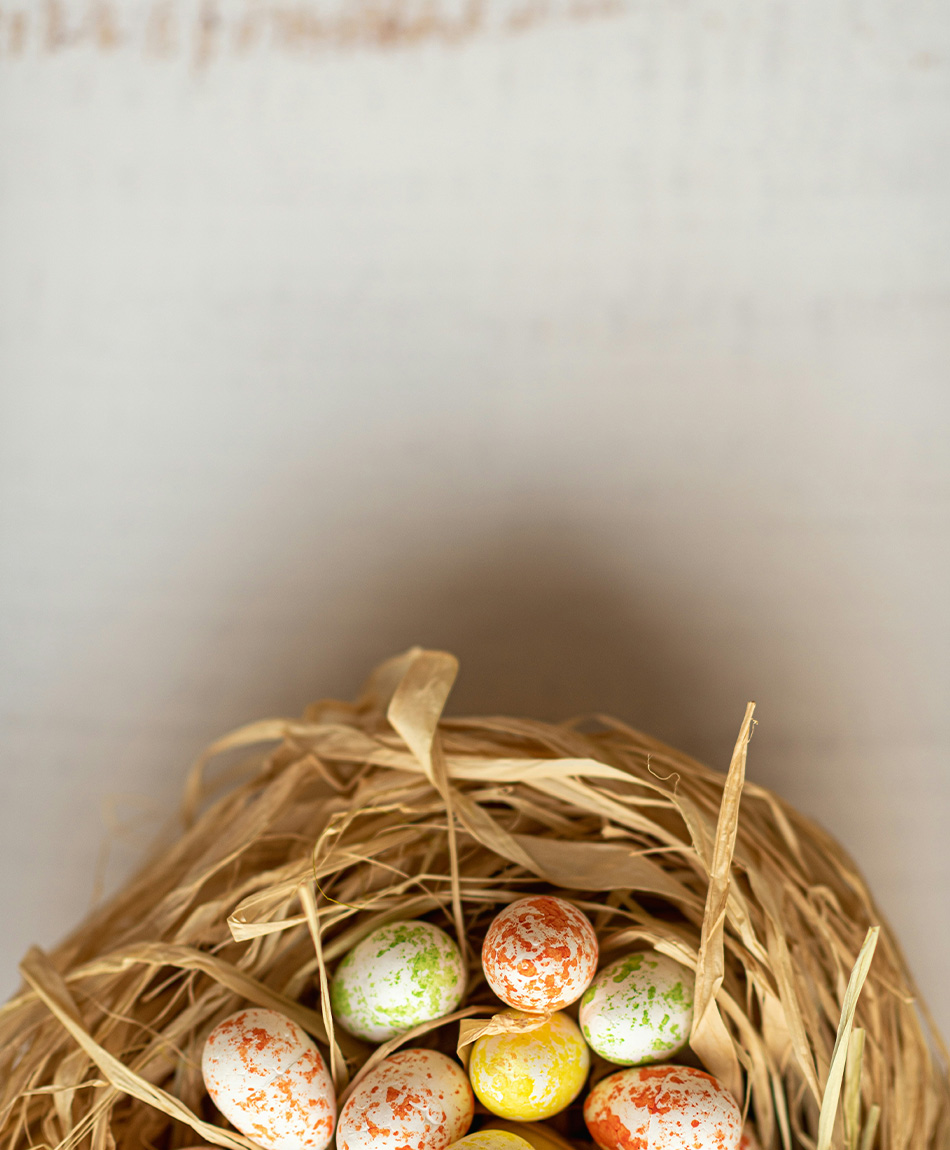 250412_BRAKO_Osterrabatt_Buehne_mobil_950x1150px_01