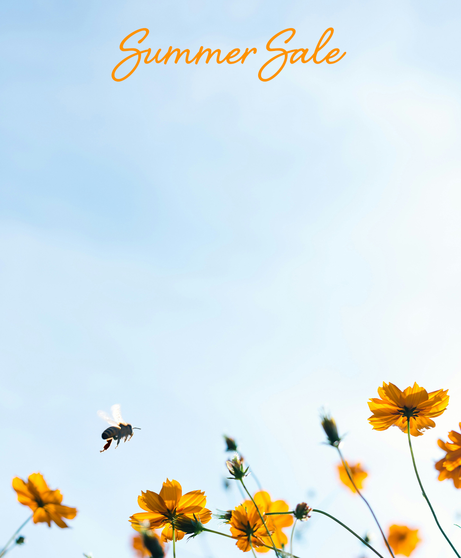 250626_BRAKO_SummerSale_Buehne_mobil_950x1150px_01