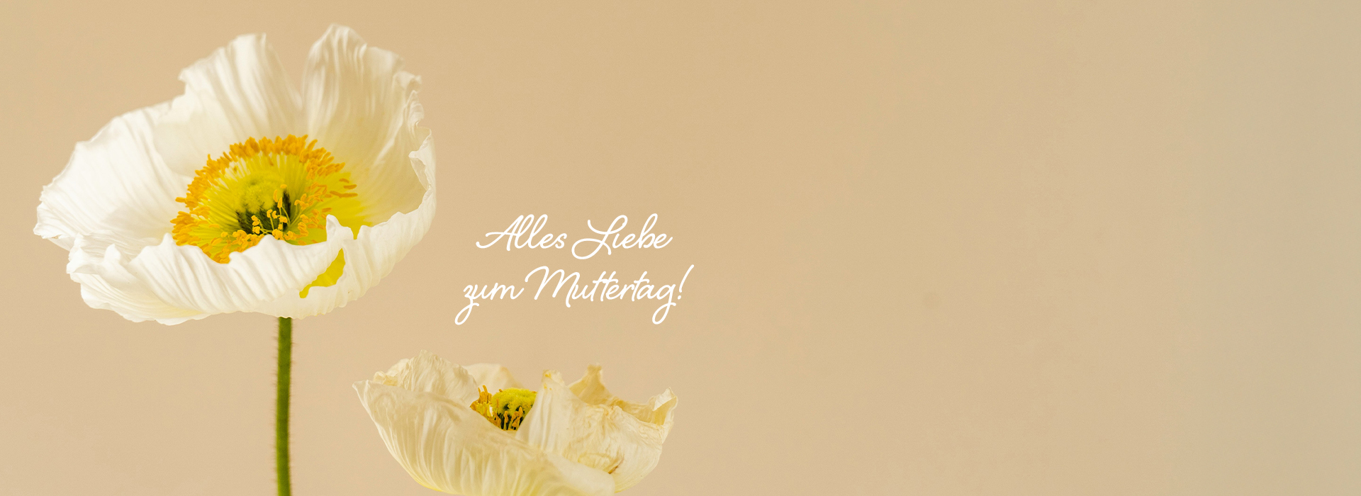 250508_Mephisto_DE_Muttertag_Buehne_Desktop_1920x700px_DU_01 250508_Mephisto_DE_Muttertag_Buehne_Desktop_1920x700px_DU_01