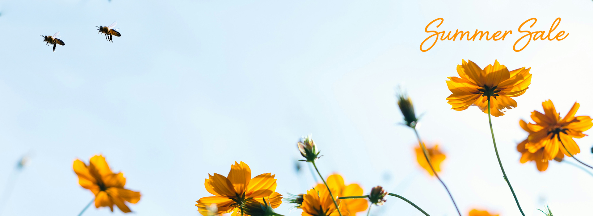 250626_BRAKO_SummerSale_Buehne_Desktop_1920x700px_01