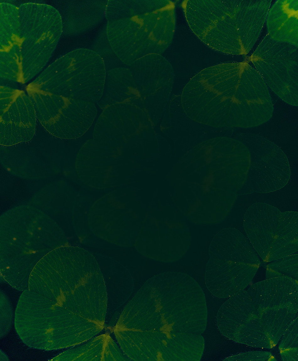 250310_araShoes_StPatricksDay_Buehne_mobil_950y1150px_01